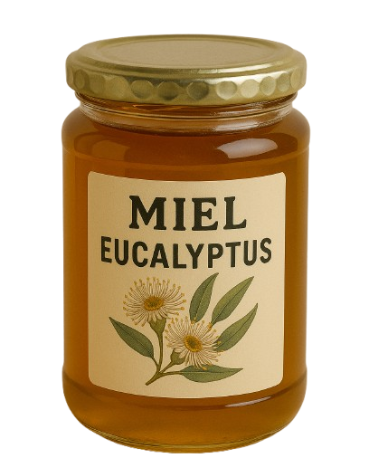 Miel d’eucalyptus