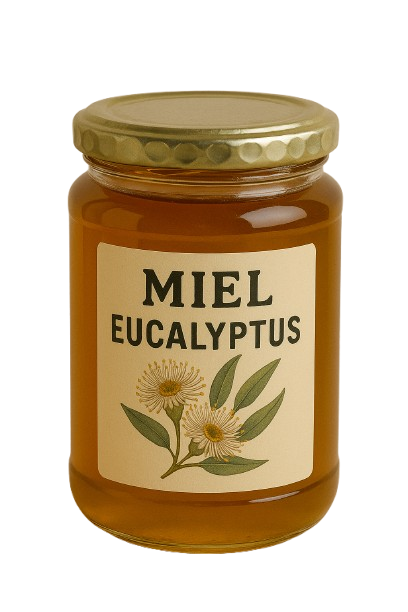 Miel d’eucalyptus